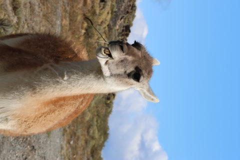 Day 8: Mirador Lago Toro Trail in Torres del Paine National Park