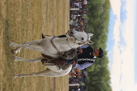 Day 11: El Calafate and a Patagonian Doma Festival