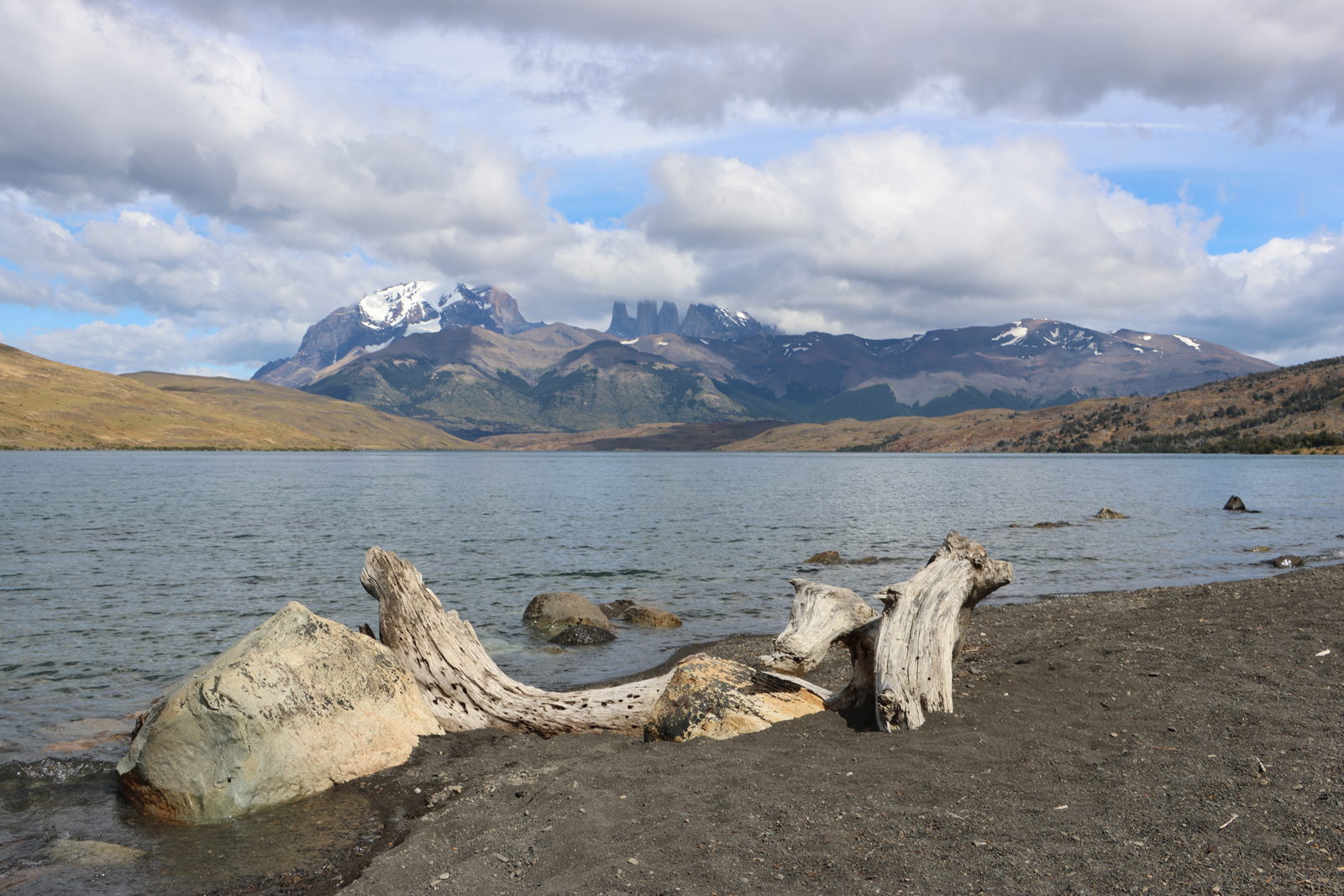Driftwood on the shore of Laguna Azul with the Torres del Paine massif beneath dramatic clouds in Patagonia, Chile.