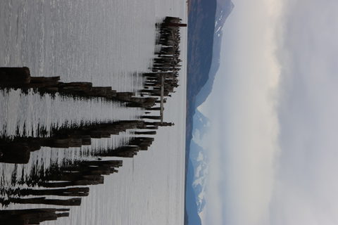 Day 4: From Punta Arenas to Puerto Natales
