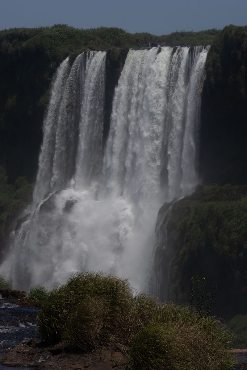 IF2 (20 of 29).jpg