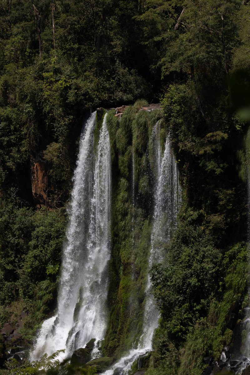 Tall, narrow waterfall cascading through rainforest vegetation in Iguazú National Park, Argentina.
