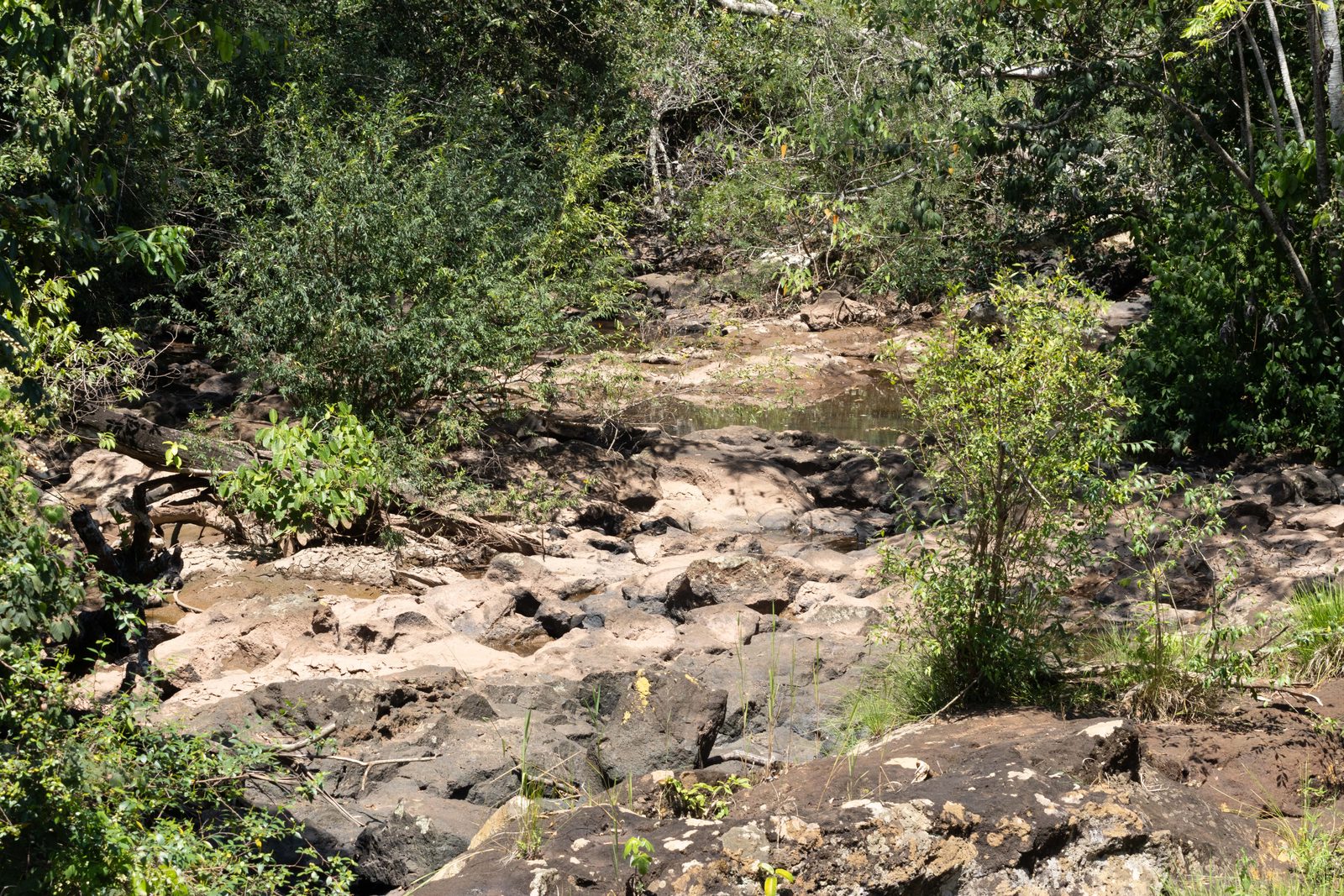 Small rocky stream with low water levels in Iguazú National Park, illustrating seasonal variation in the Iguazú River.