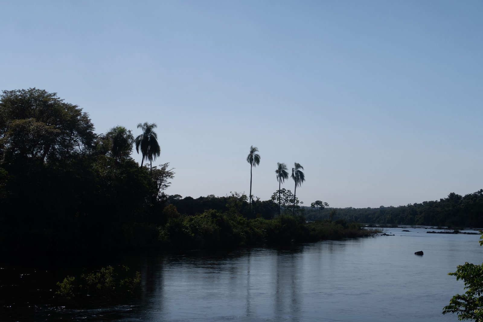 Calm waters of the Upper Iguazú River flowing through rainforest in Iguazú National Park before reaching Devil's Throat.