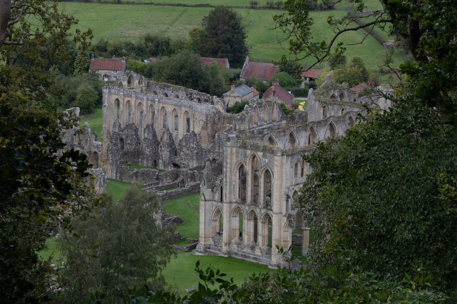 Elevated view of Rievaulx Abbey ruins surrounded by trees
